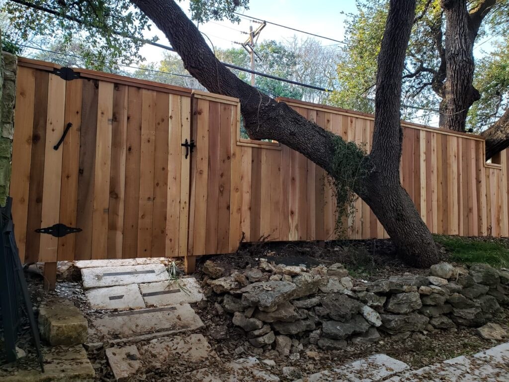 Cedar fence built around a mature tree in a backyard